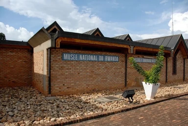 Discover Rwanda’s history, culture, wildlife, and conservation efforts in one immersive experience.3