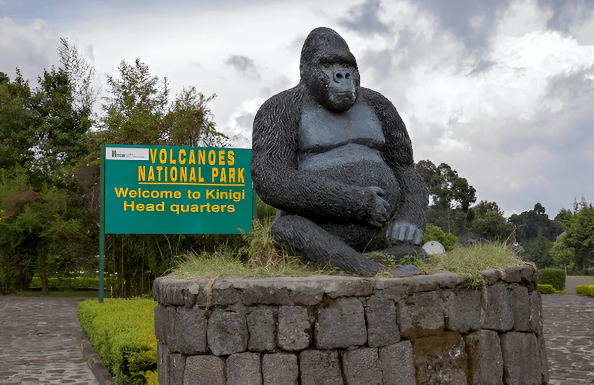 Volcano National Park Rwanda